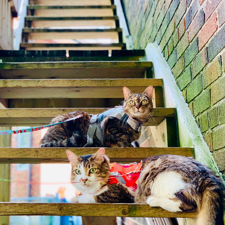 Kati and Thomas chilling out at the stairs in the back of our old house in Toronto.